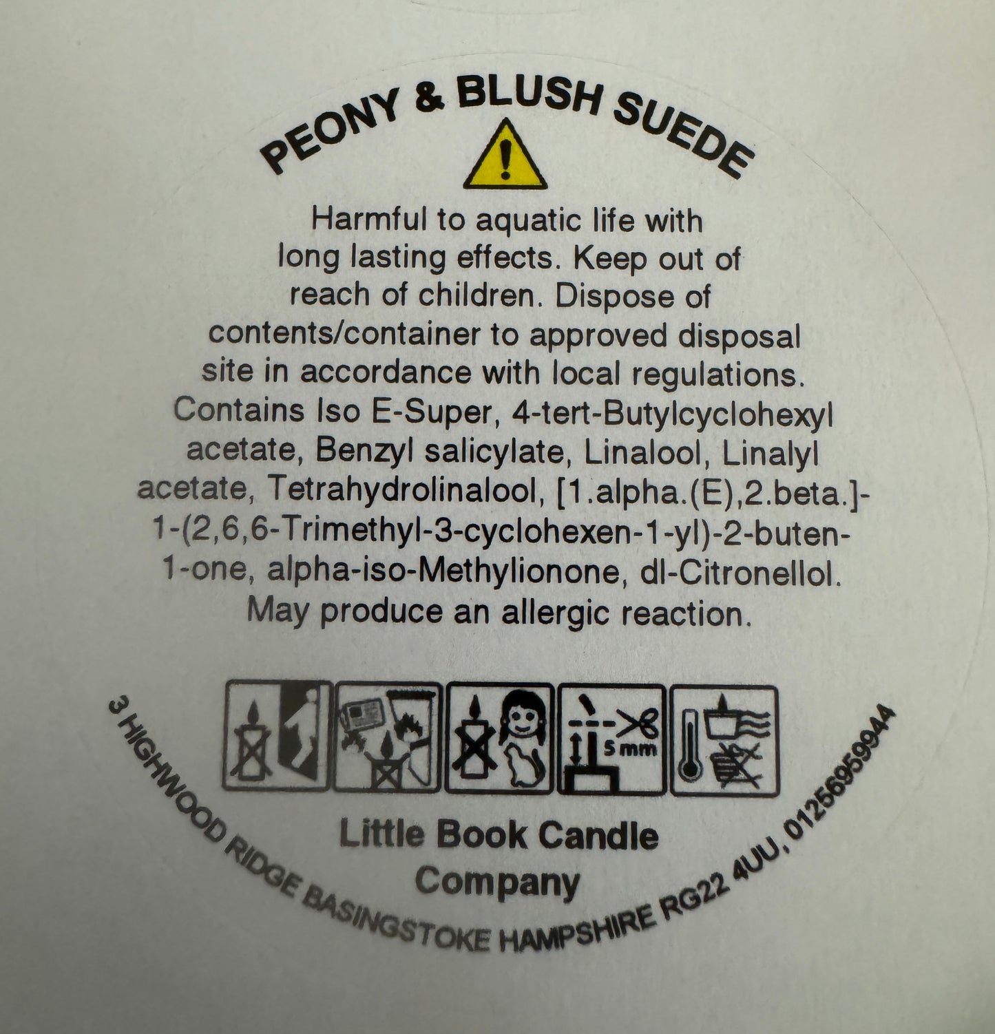 220g Candle Peony and Blush Suede